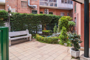 Image of a Tranquil Garden at a Mental Health Center.